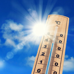 CANICULE SUR LA VENDEE
