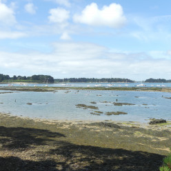 PLANS DES CIRCUITS ILE D'OLERON