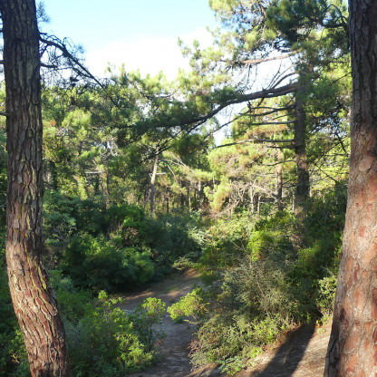 NOIRMOUTIER 2026